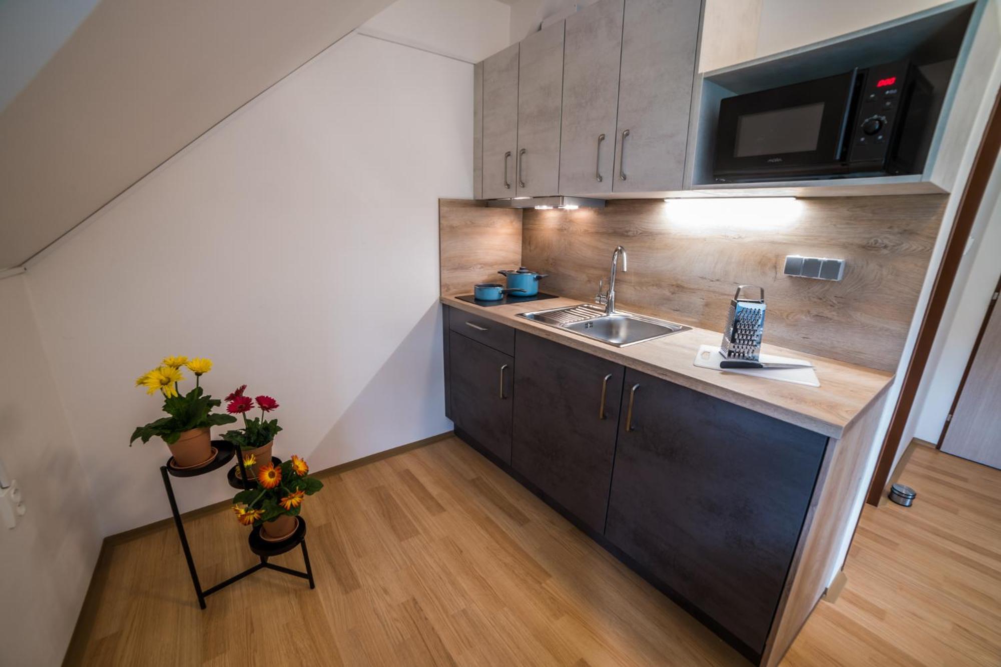 Apartmany Hasicarna Horní Vltavice Exterior photo